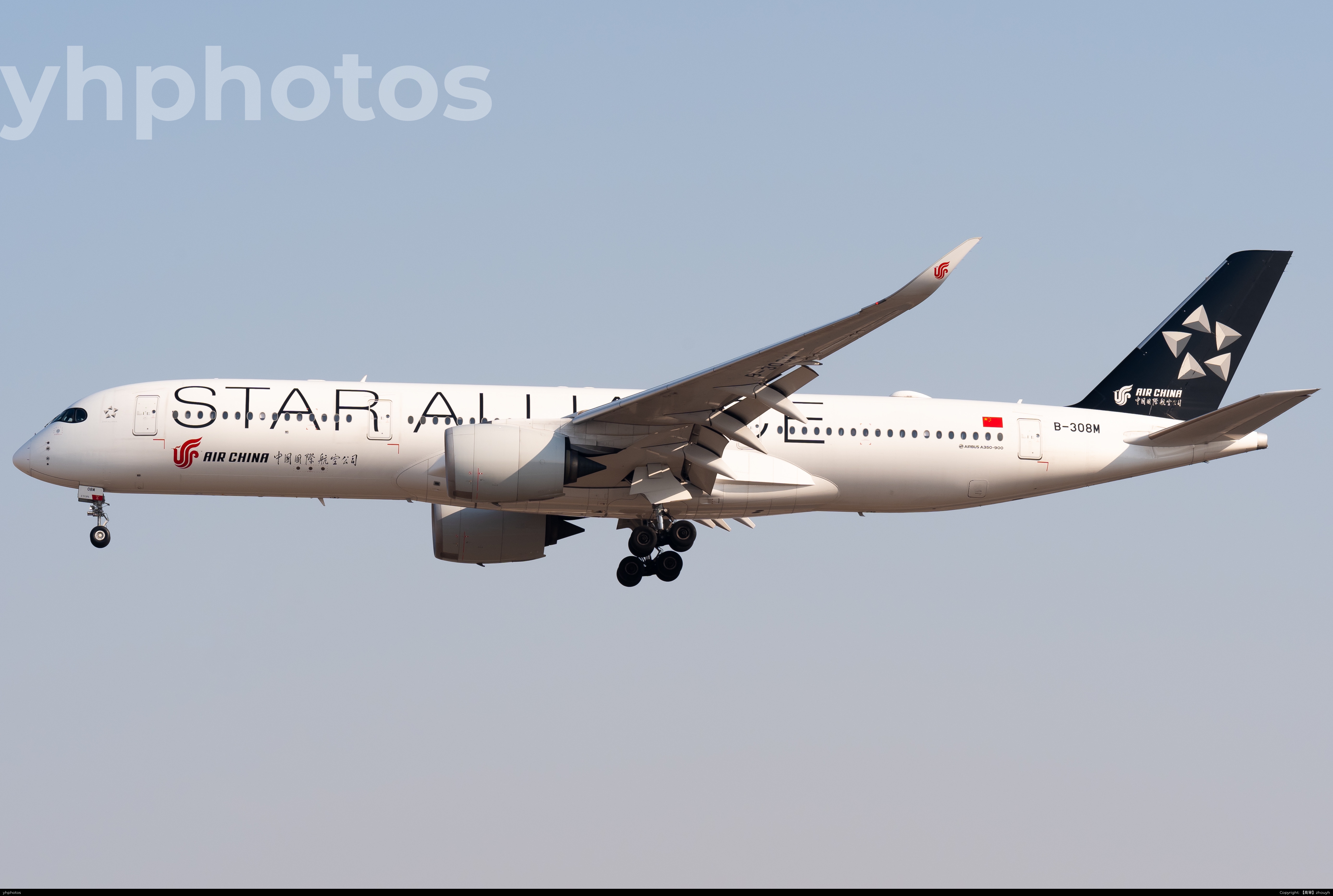 你说的对但308M是我宝宝