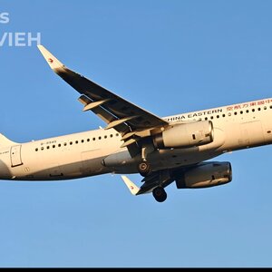 PVG-AVIEH